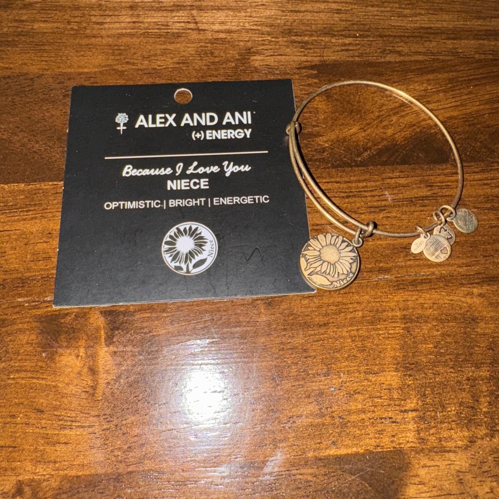 ✨5/$15 Alex & Ani bracelet
